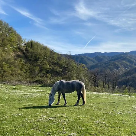 & Ristorante Europa 팔라쭐로술세뇨